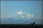 2019aug11_denali_IMG_9751c