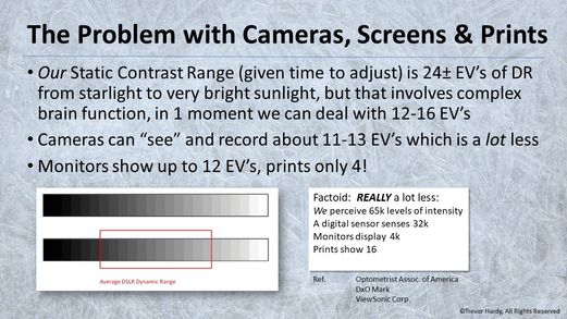 Dynamic Range.jpg