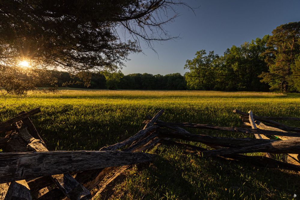 Surrender Field, Yorktown Virginia