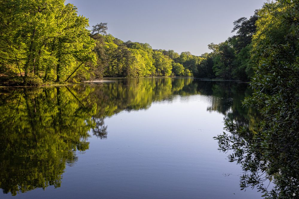 Wormley Pond, Yorktown Virginia