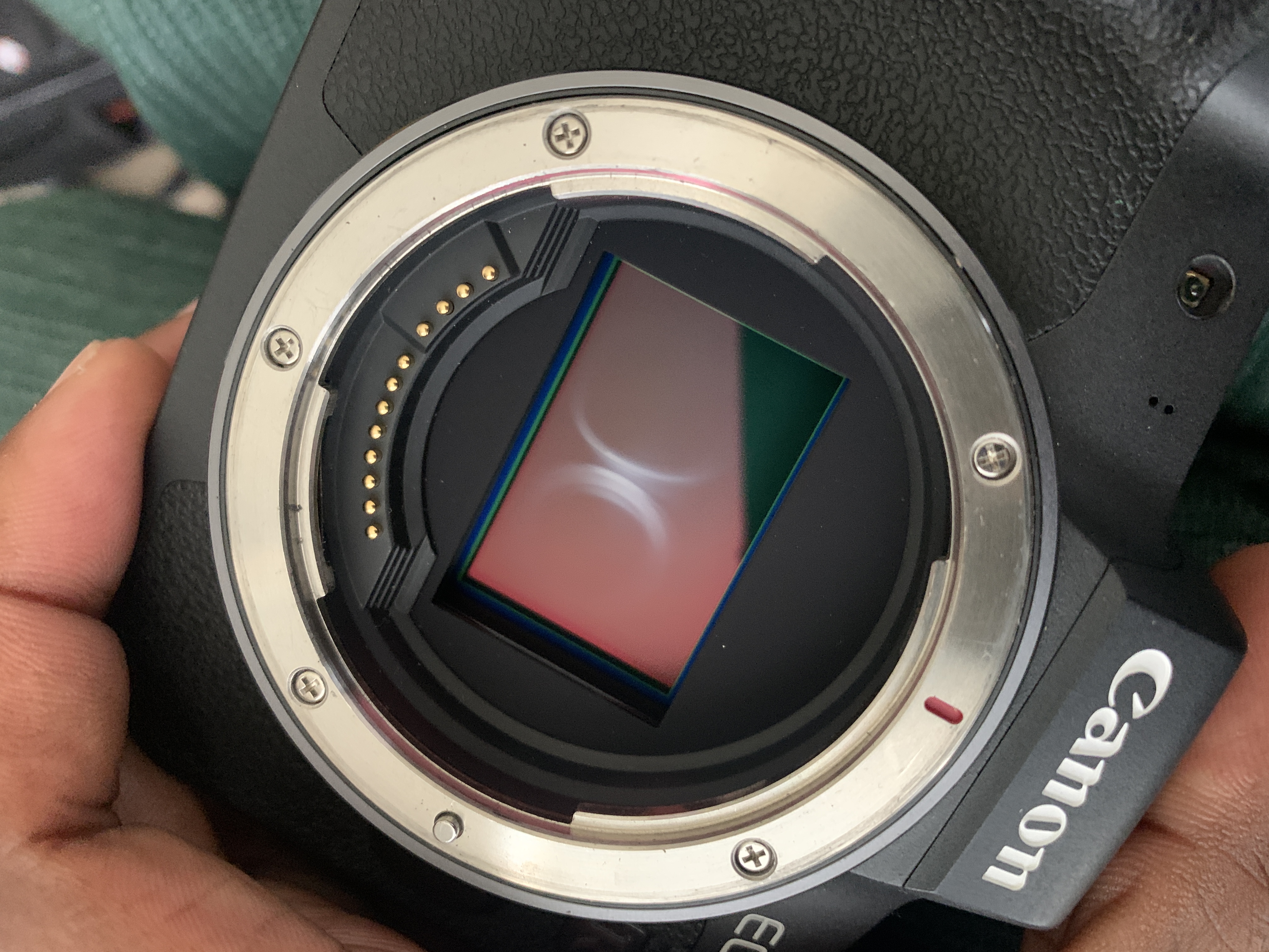 EOS-R Sensor Damage from unknown cause - Canon Community