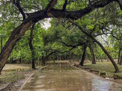 TEXAS-18-min.jpg