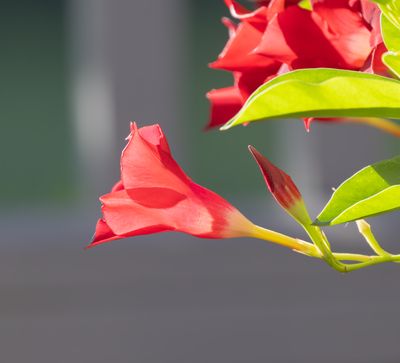 408A0538-Enhanced-NR-1 copy.jpg