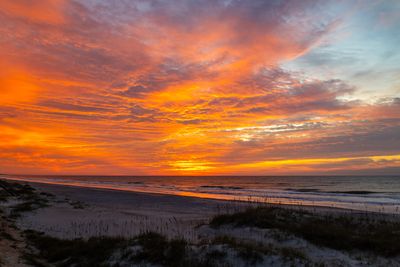 20240908-Canon EOS R6m2-013.jpg