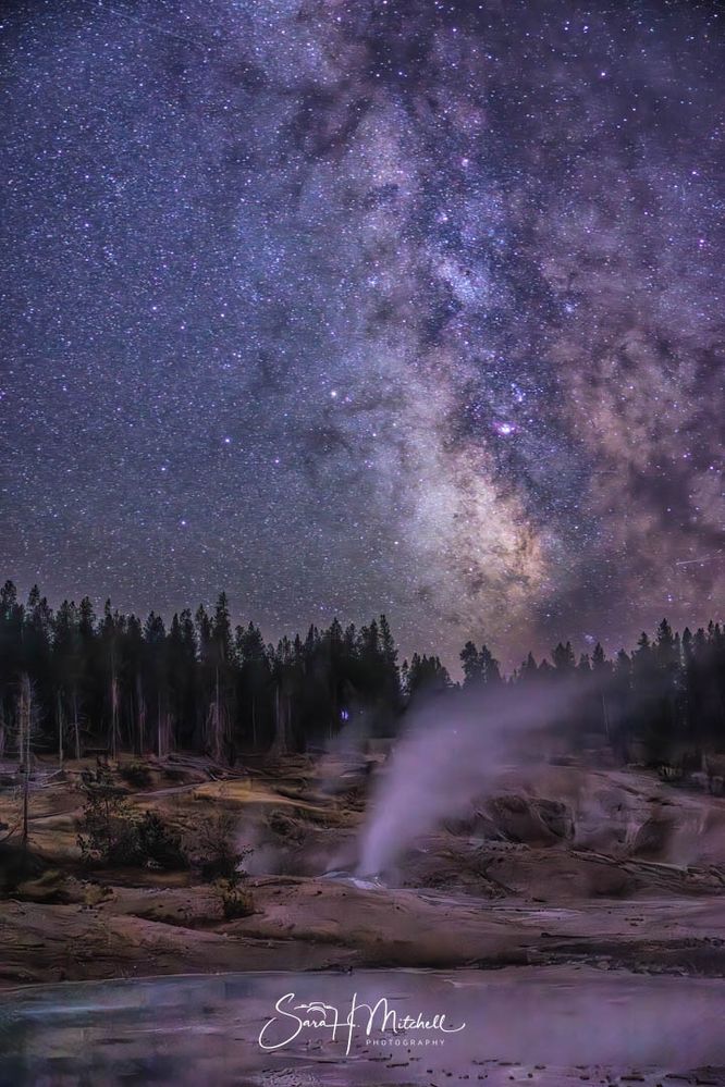 Norris Geyser Basin_Yellowstone National Park