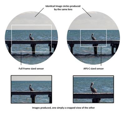 The top shows what is captured, the bottom shows the result after magnification of the image later