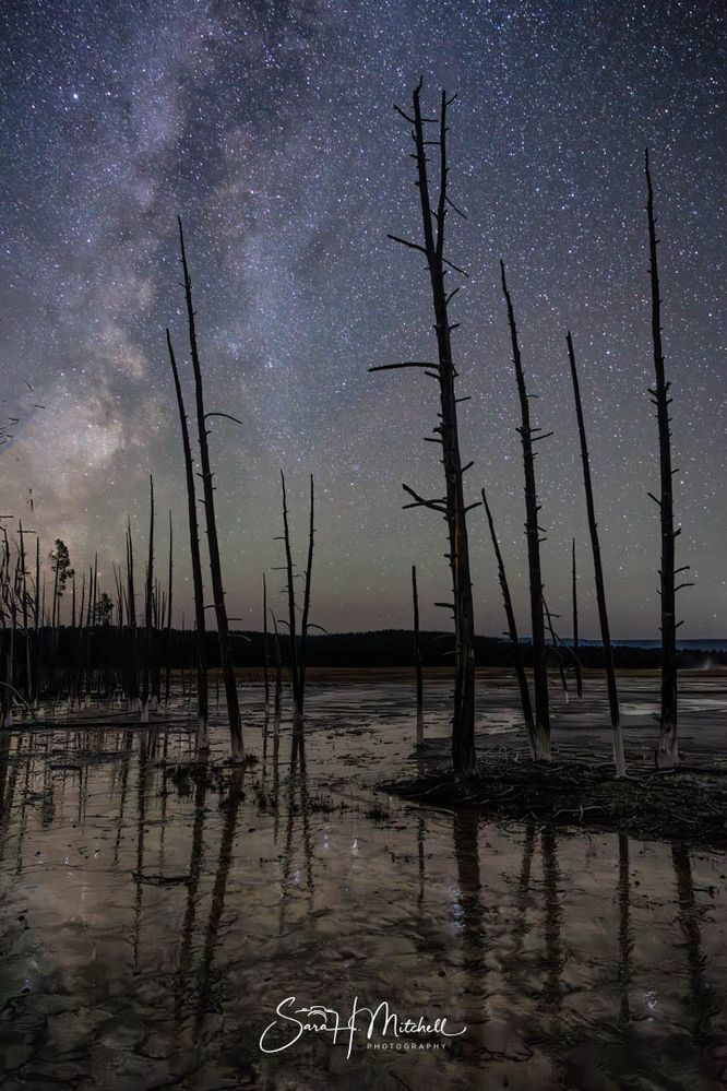 Fountain Paint Pot in North Yellowstone National Park