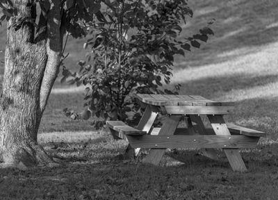 Park Bench2.jpg