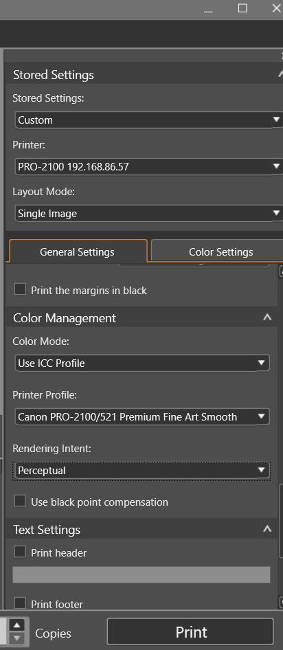 Professional print and layout settings.