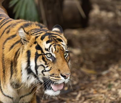 IMG_0174-Enhanced-NR copy.jpg