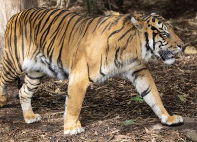 IMG_0074-Enhanced-NR copy.jpg