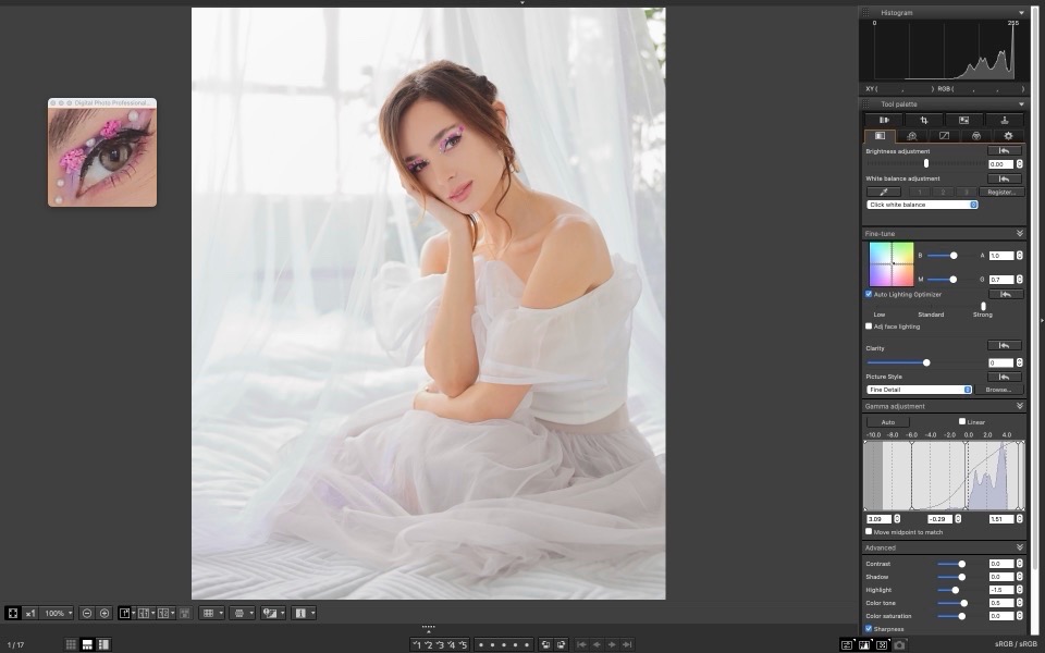 Re How to enlarge second screen/Digital Photo Pro... Page 3 Canon