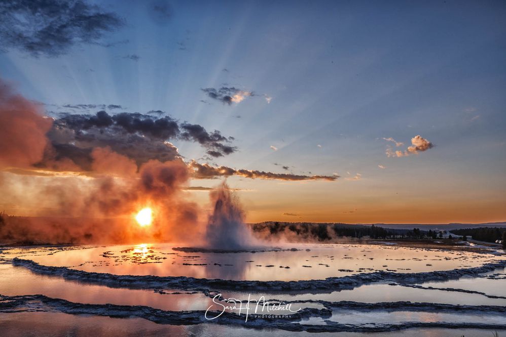 Fountain Geyser Yellowstone National Park