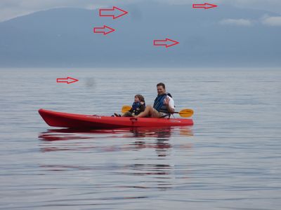 real photo.JPG