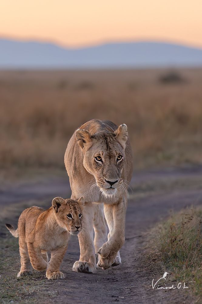 Mom and me