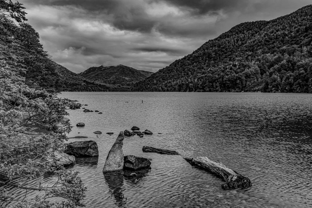 shores of the lake patagnia