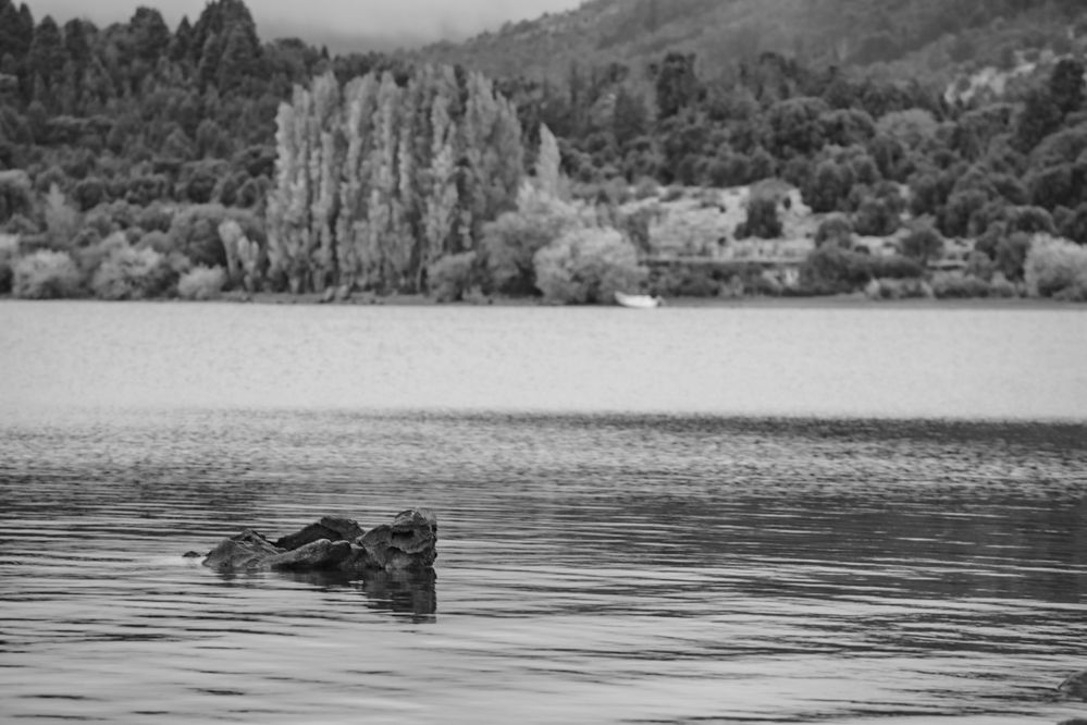 Siete lagos, Patagonia