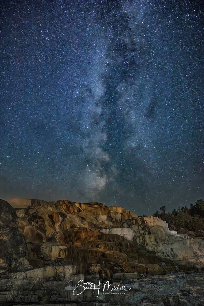 Mammoth Springs Yellowstone National Park