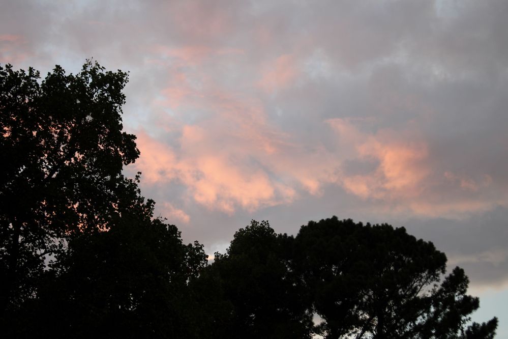 Evening cloud