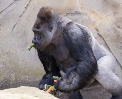 IMG_0537-Enhanced-NR copy.jpg