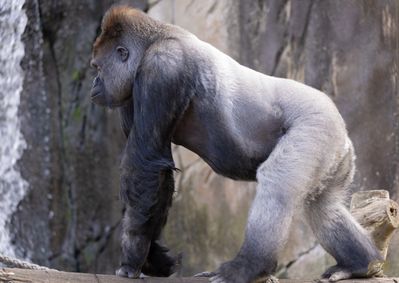 IMG_0541-Enhanced-NR copy.jpg