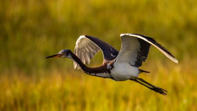 20241004-Canon EOS R6m2-068.jpg