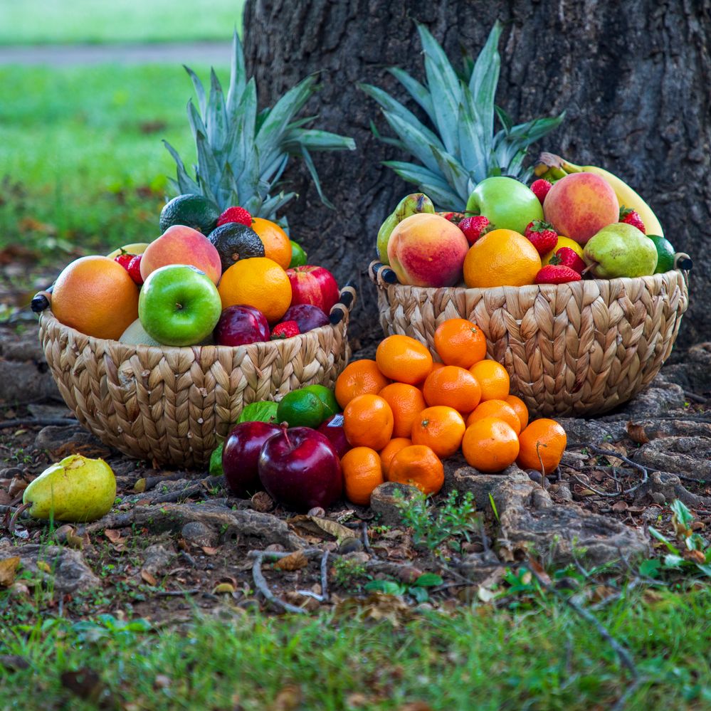 Fruit Installation_.jpg