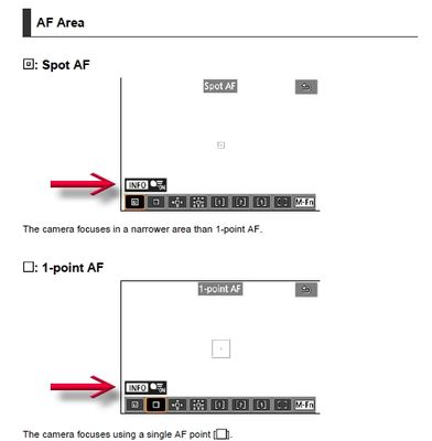 AF Area 5 R6 II.jpg