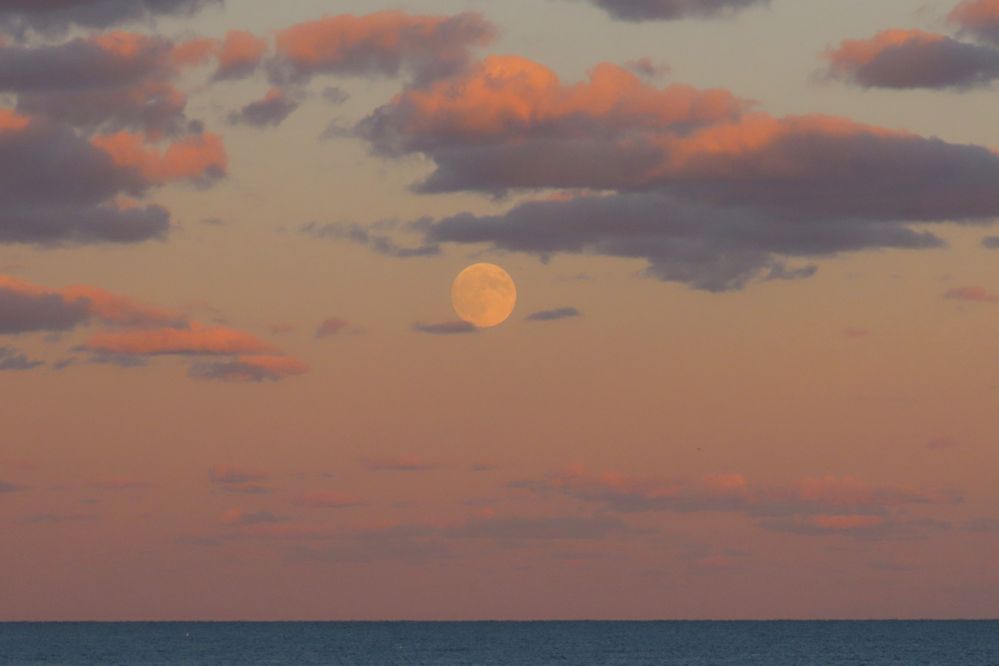 Harvest Super Moonrise 10-16-2024 landscape web.jpg