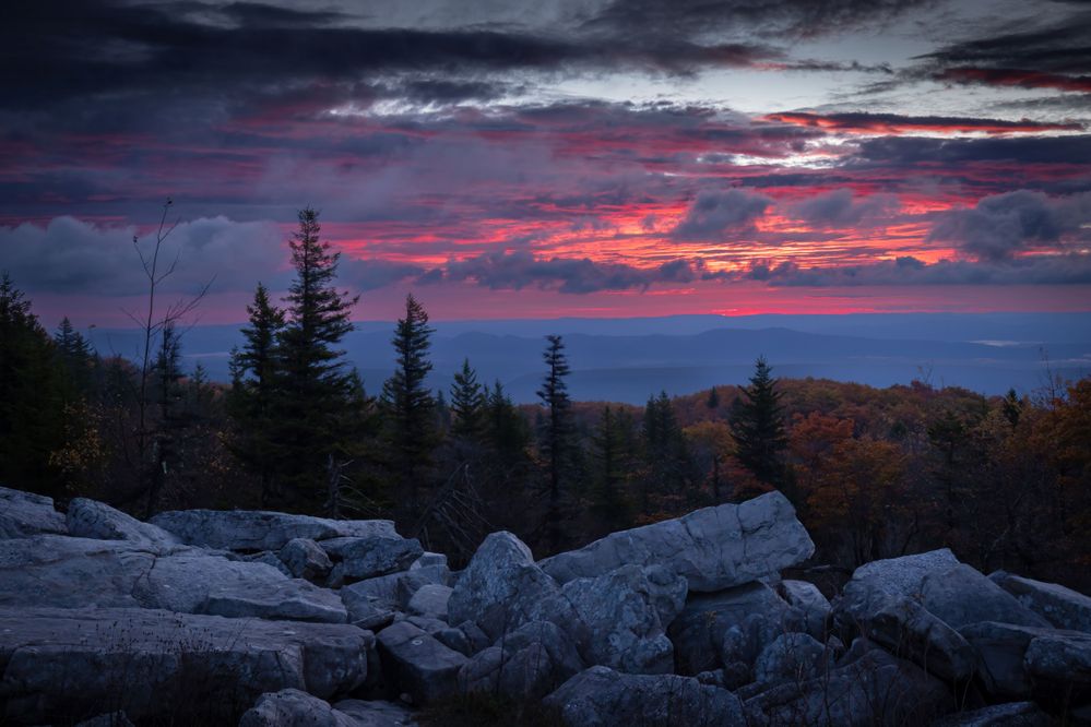 Dolly Sods Sunrise2.jpg