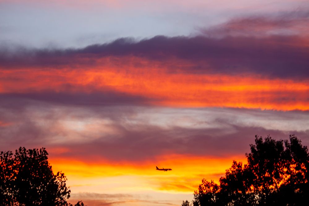 Backyard Sunset