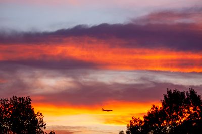 Backyard Sunset.jpg