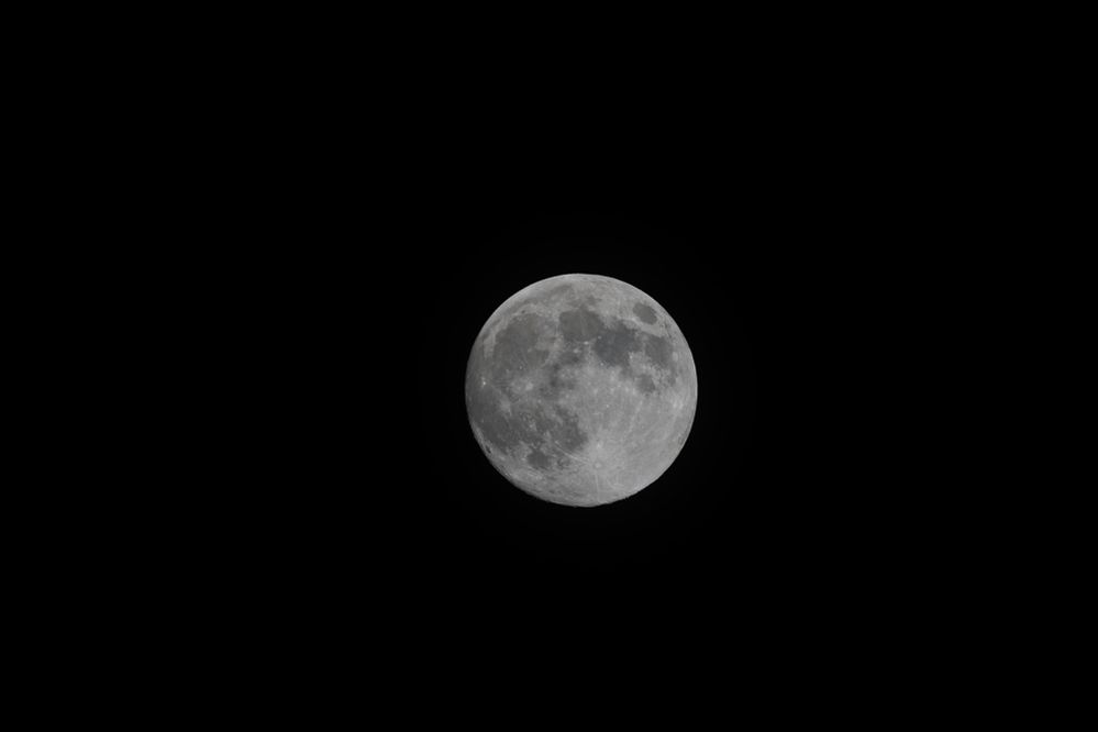 800mm, 1/125, F10, ISO 200