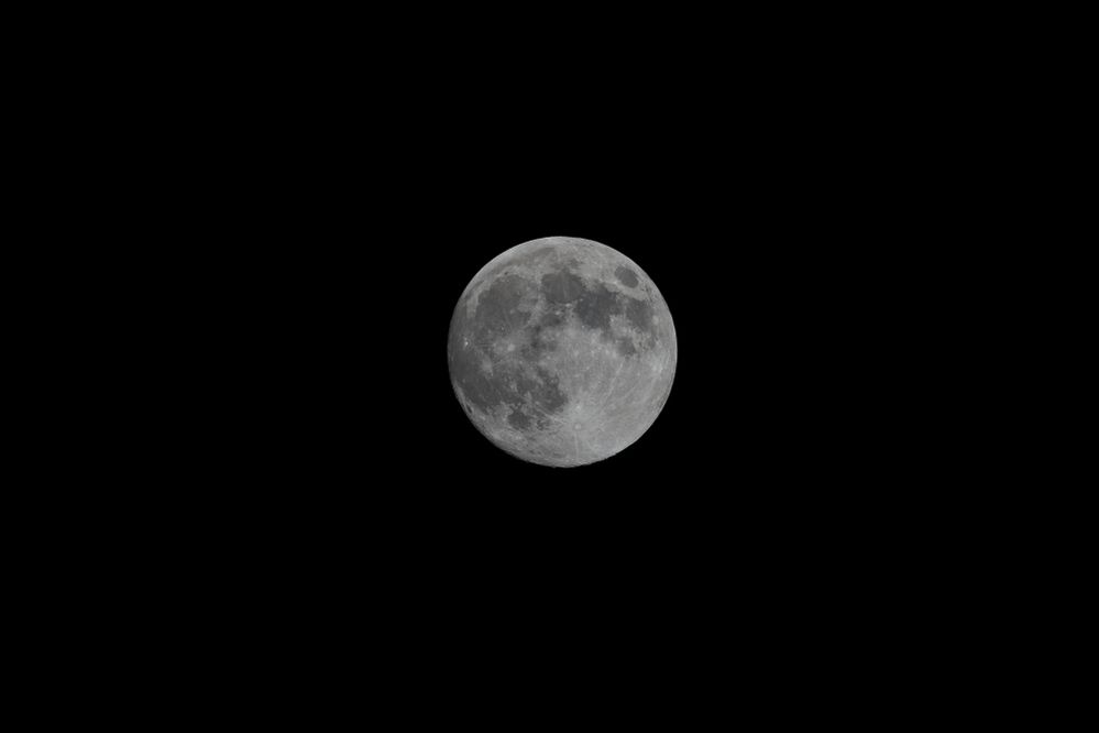 800mm, 1/500, F10, ISO 640