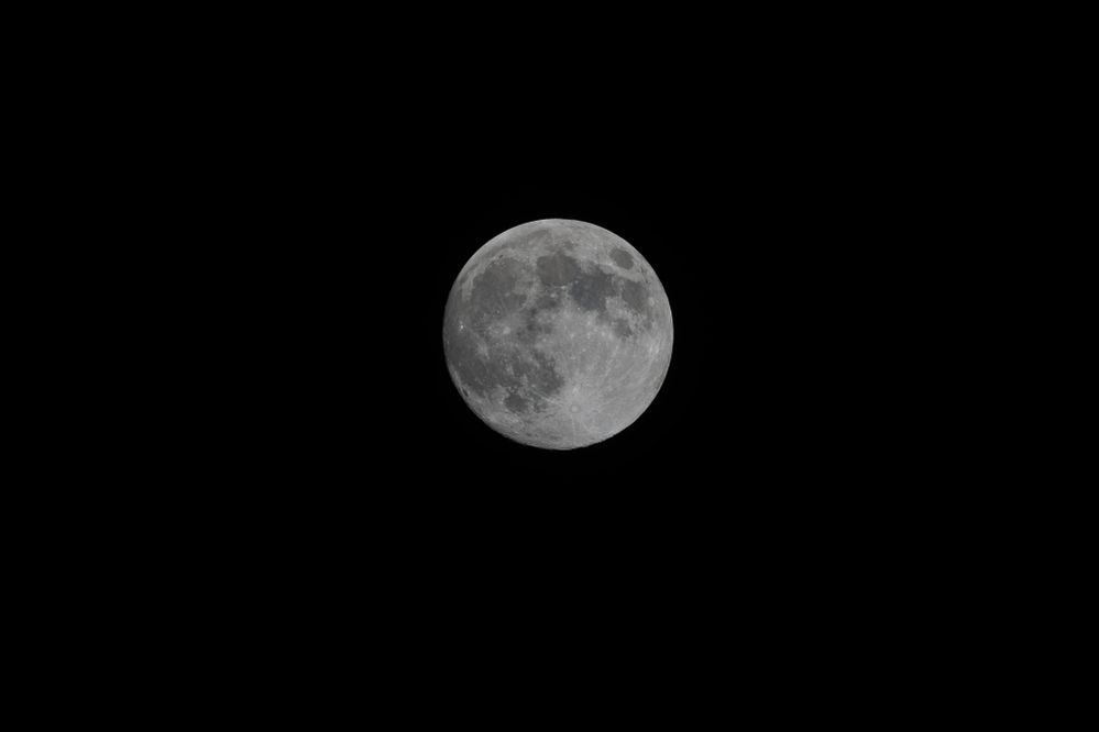 800mm, 1/250, F10, ISO 320