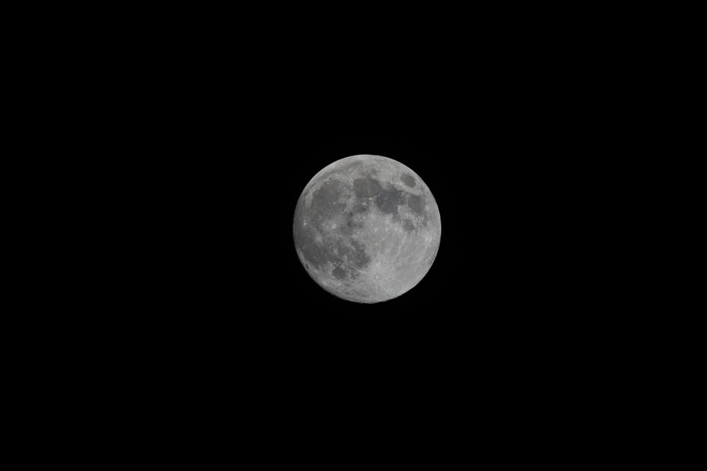 800mm, 1/320, F10, ISO 400