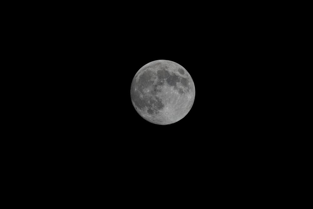 800mm, 1/320, F10, ISO 400