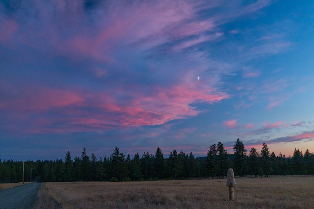 Moon and Shroom - 40mm, F4.5, 1/125