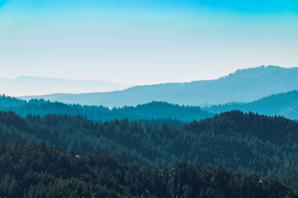 Foggy Mountains from Russian Ridge Trail  EOS R5 Mark II  RF200-800@200mm  ISO-320  F9  SS 1/400