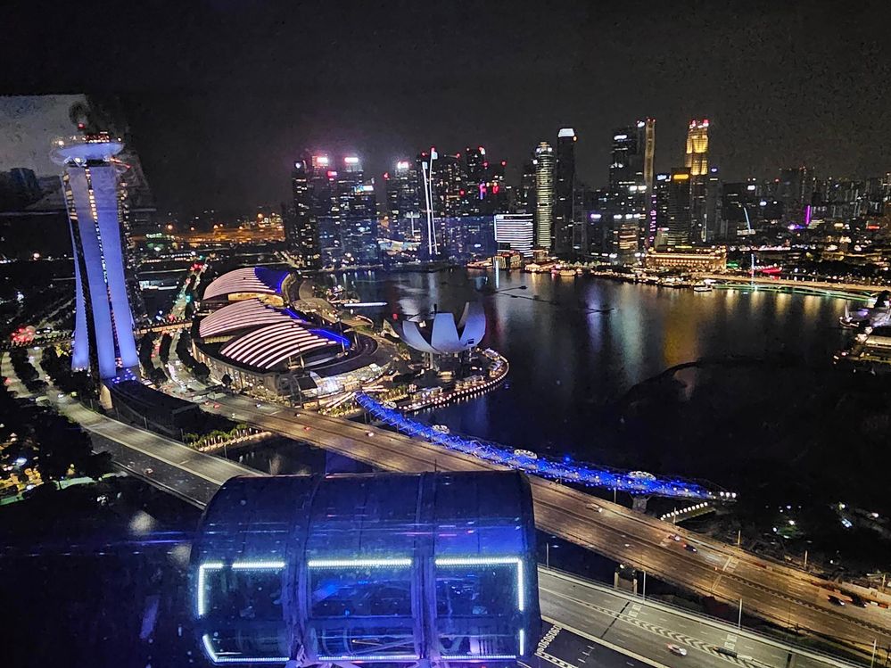 Singapore Flyer View