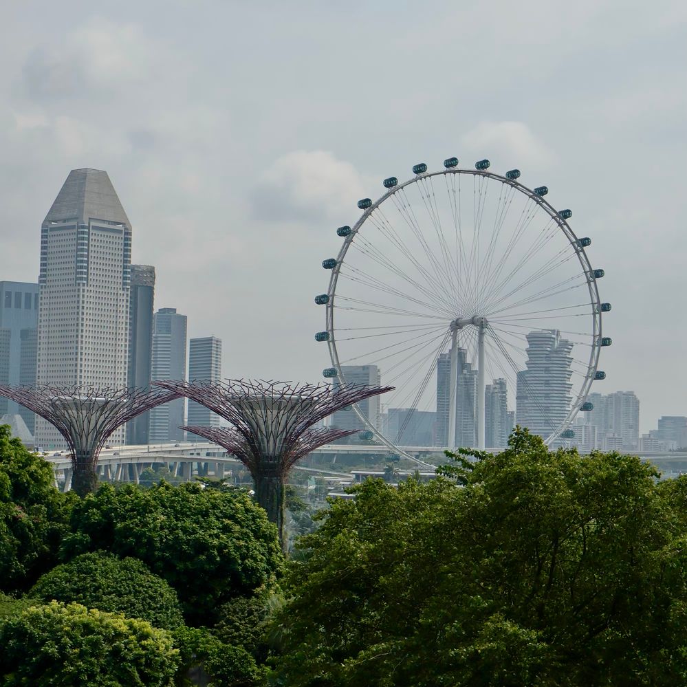 Singapore view of the Super trees and singapore flyer