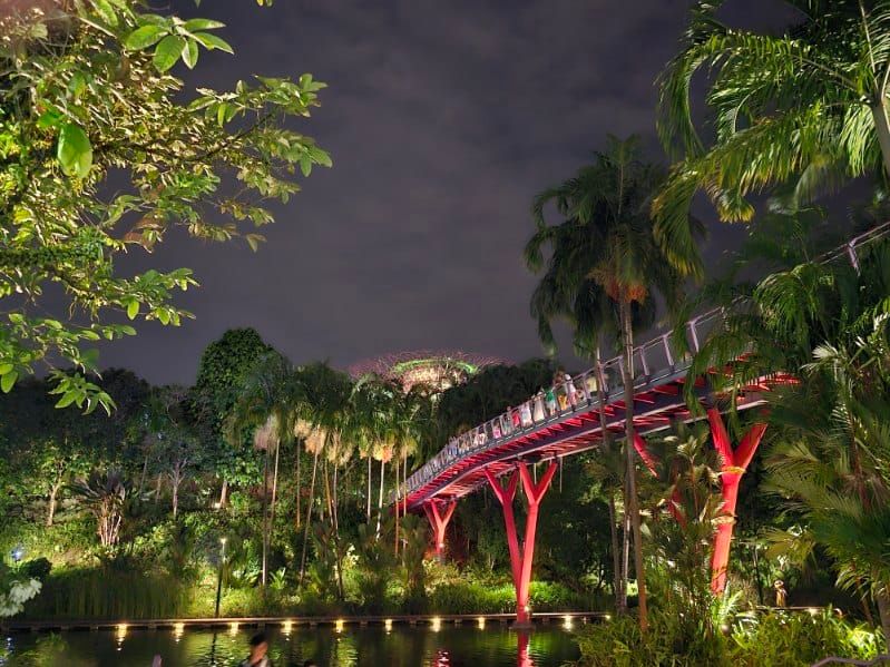 Gardens by the bay in Singapore