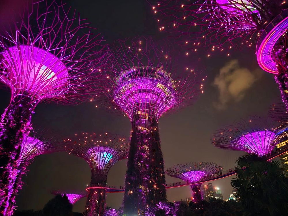 Super Trees Rhapsody Show Singapore 2024