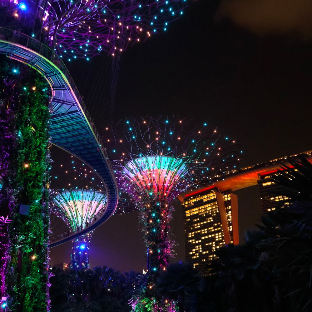 Super Trees with OCBS skyway and Marina Bay Sands Singapore 2024