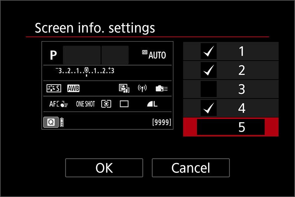 EOS R10 display screens 7.jpg