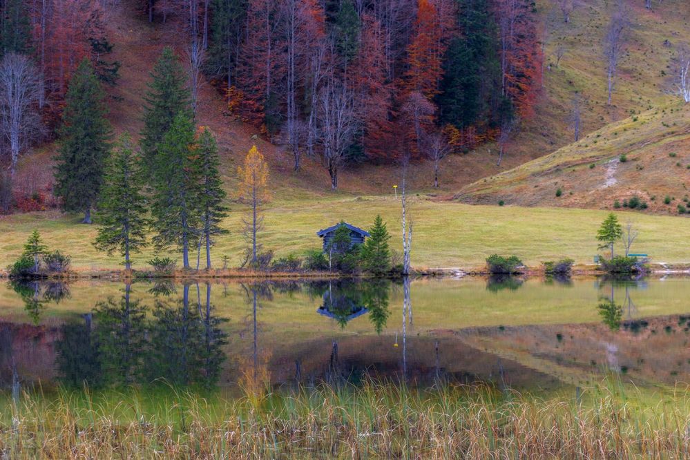 Autumn colours at the beautiful lake, Ferchensee in Mittenwald