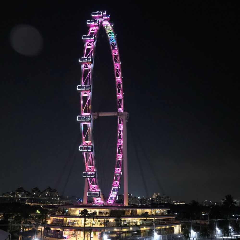 Singapore Flyer at night