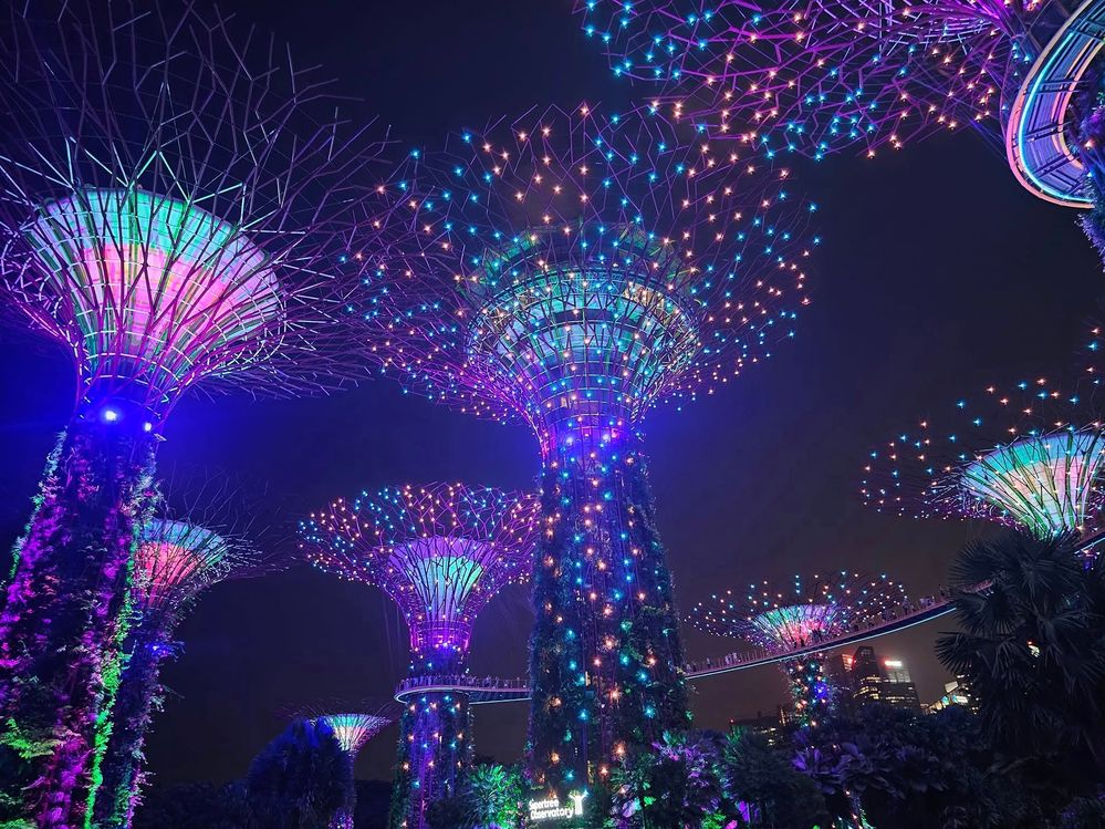 SUper Trees Rhapsody Show in Singapore