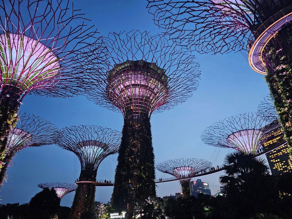 Super Grove Trees at Gardens by the Bay