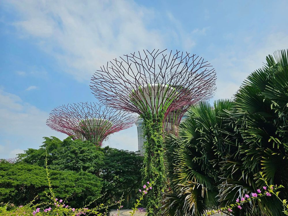 Gardens by the Bay Singapore